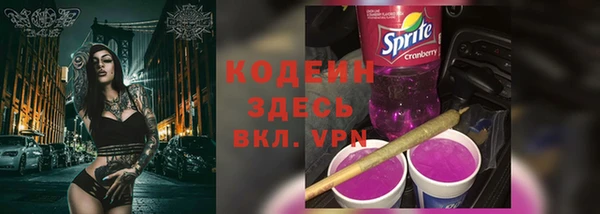 индика Приозерск