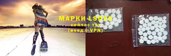 амф Аркадак