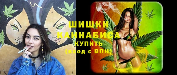 амф Аркадак